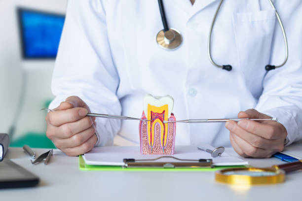 Best Broken or Chipped Tooth Repair in Sealy, TX